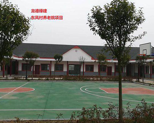 龍德綠建東風村養老院項目